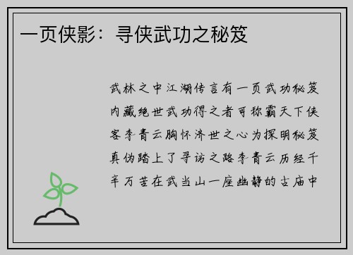 一页侠影：寻侠武功之秘笈