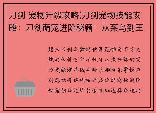 刀剑 宠物升级攻略(刀剑宠物技能攻略：刀剑萌宠进阶秘籍：从菜鸟到王者)