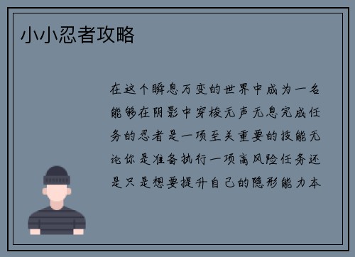小小忍者攻略