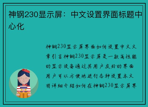 神钢230显示屏：中文设置界面标题中心化
